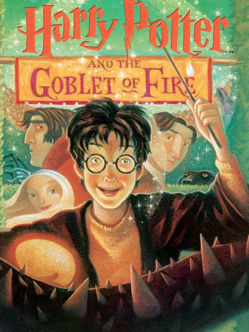 New York Puzzle Company - Harry Potter and the Goblet of Fire - 1000 Piece Jigsaw Puzzle New