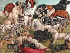 New York Puzzle Company - Dog Breeds - 1000 Piece Jigsaw Puzzle Discount