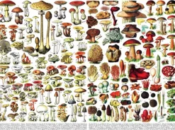 New York Puzzle Company - Vintage Images - Mushrooms - 1000 Piece Jigsaw Puzzle Sale