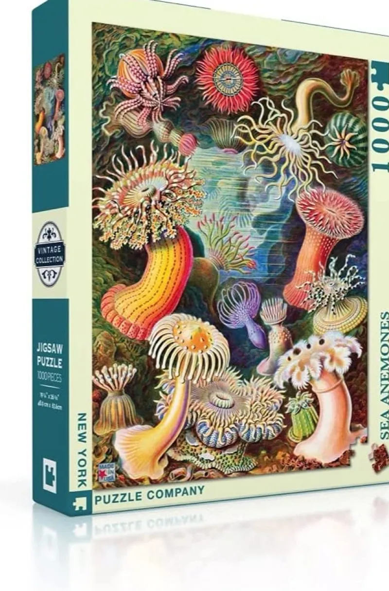 New York Puzzle Company - Vintage Images - Sea Anemones - 1000 Piece Jigsaw Puzzle Best