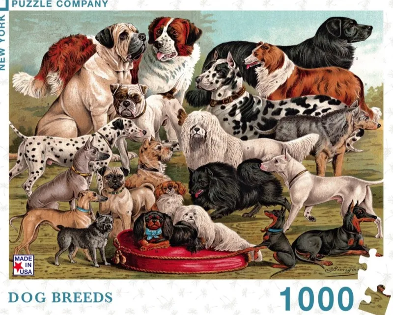 New York Puzzle Company - Dog Breeds - 1000 Piece Jigsaw Puzzle Discount