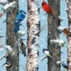Piatnik - Birds - 1000 Piece Jigsaw Puzzle Sale