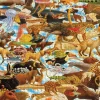 Pomegranate - Charles Lynn Bragg: Space Race - 2000 Piece Jigsaw Puzzle Clearance