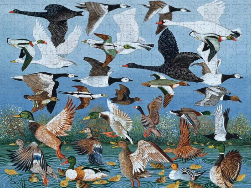 Pomegranate - Pat Scott: Taking Off - 500 Piece Jigsaw Puzzle Fashion