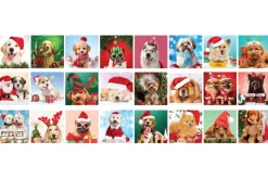 Eurographics *** Pre-Order *** - Advent Calendar - Christmas Paws Clearance
