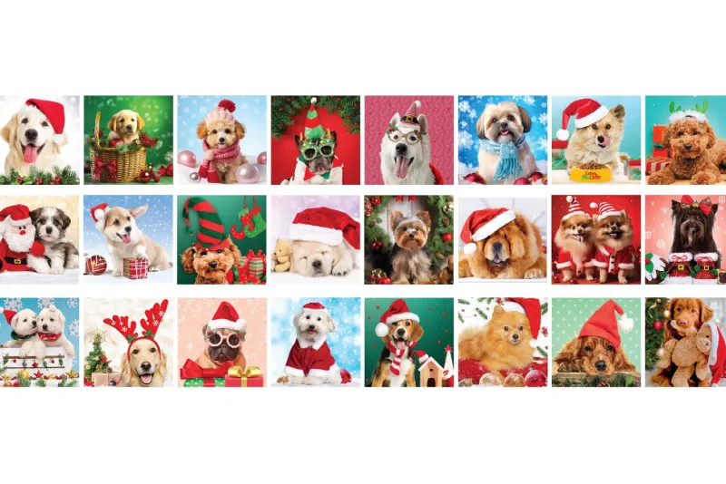 Eurographics *** Pre-Order *** - Advent Calendar - Christmas Paws Clearance