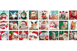 Eurographics *** Pre-Order *** - Advent Calendar - Christmas Whiskers Best