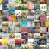 Ravensburger - 99 Bicycles - 1500 Piece Jigsaw Puzzle New