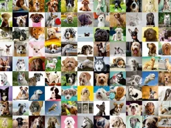 Ravensburger - 99 Lovable Dogs - 750 Piece Jigsaw Puzzle Fashion