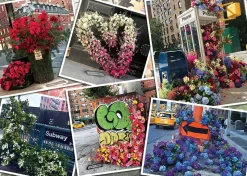 Ravensburger - NYC Flower Flash - 1000 Piece Jigsaw Puzzle Sale