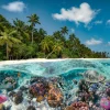 Ravensburger - A Dive in the Maldives - 2000 Piece Jigsaw Puzzle Fashion