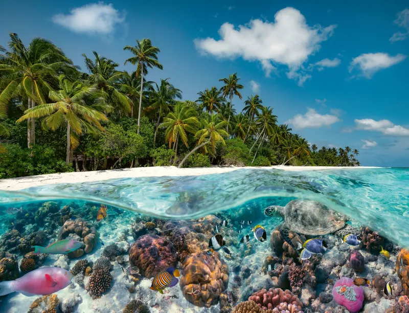 Ravensburger - A Dive in the Maldives - 2000 Piece Jigsaw Puzzle Fashion