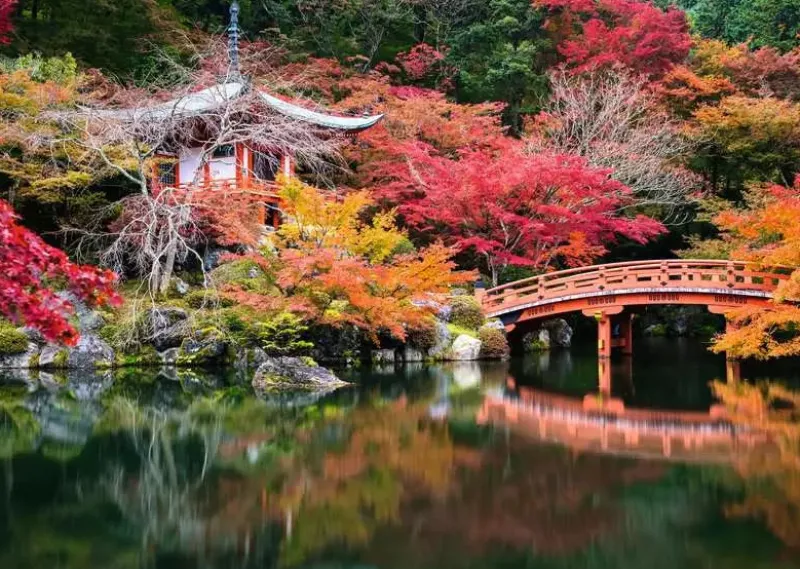 Ravensburger - Beautiful Gardens – Kyoto, Japan - 1000 Piece Jigsaw Puzzle New