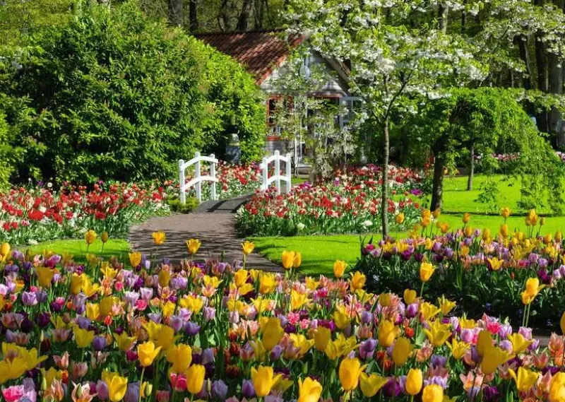 Ravensburger - Beautiful Gardens – Netherlands - 1000 Piece Jigsaw Puzzle Fashion