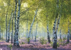 Ravensburger - Birch Forest - 1000 Piece Jigsaw Puzzle Online