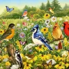 Ravensburger - Birds in the Meadow - 500 Piece Jigsaw Puzzle Sale