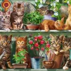 Ravensburger - Cats On The Shelf - 500 Piece Jigsaw Puzzle Outlet