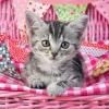 Ravensburger - Cute Kitty - 100 Piece Jigsaw Puzzle New