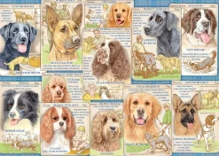 Ravensburger - Dutiful Dogs - 1000 Piece Jigsaw Puzzle Fashion