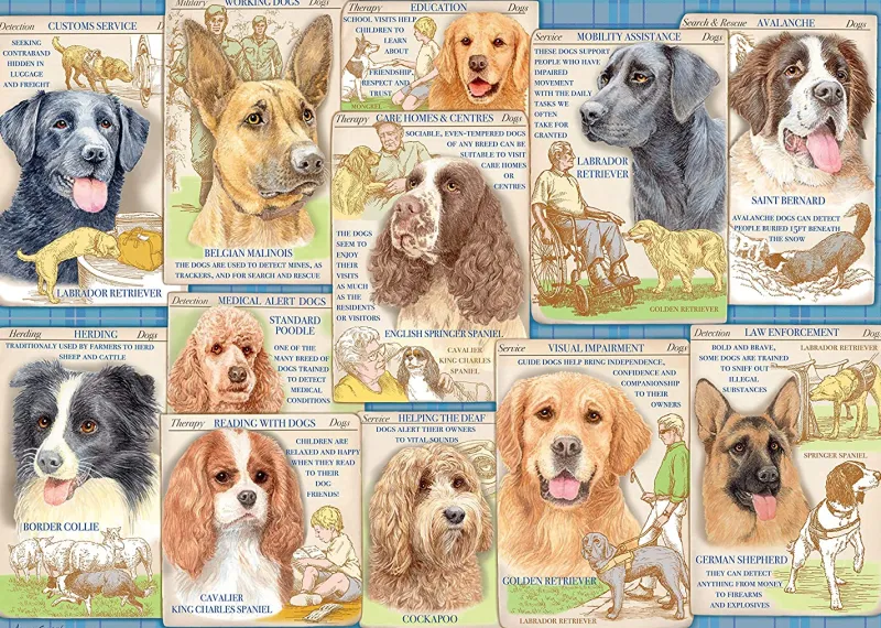 Ravensburger - Dutiful Dogs - 1000 Piece Jigsaw Puzzle Fashion