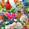 Ravensburger - Garden Birds - 500 Piece Jigsaw Puzzle Clearance