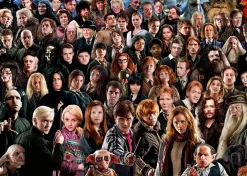 Ravensburger - Harry Potter Challenge - 1000 Piece Jigsaw Puzzle Sale
