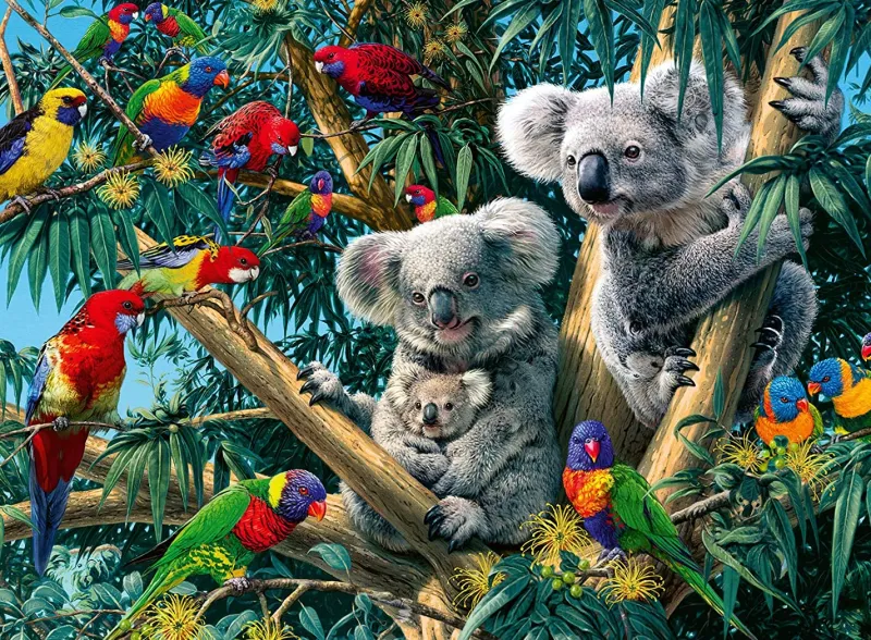 Ravensburger - Koalas in a Tree - 500 Piece Jigsaw Puzzle Sale
