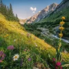 Ravensburger - Magical Valley - 1000 Piece Jigsaw Puzzle Best