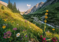 Ravensburger - Magical Valley - 1000 Piece Jigsaw Puzzle Best