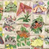 Ravensburger - Marvellous Moths - 1000 Piece Jigsaw Puzzle Clearance