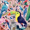 Ravensburger - Matt Sewell's Amazing Birds - 1000 Piece Jigsaw Puzzle Best