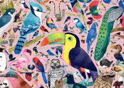 Ravensburger - Matt Sewell's Amazing Birds - 1000 Piece Jigsaw Puzzle Best