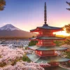 Ravensburger - Mount Fuji Cherry Blossom View - 1000 Piece Jigsaw Puzzle Fashion