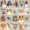 Ravensburger - Mutt Shots! - 500 Piece Jigsaw Puzzle Best