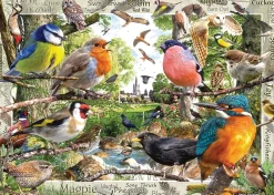 Ravensburger - Our Feathered Friends - 1000 Piece Jigsaw Puzzle New