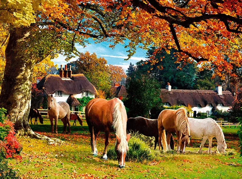 Ravensburger - Picturesque Hampshire - 2 x 500 Piece Jigsaw Puzzle Best
