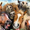 Ravensburger - Selfies - Horsing Around - 500 Piece Jigsaw Puzzle Clearance