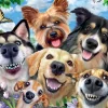 Ravensburger - Selfies Dogs' Delight - 500 Piece Jigsaw Puzzle Outlet