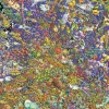 Ravensburger - Shoal - 1500 Piece Jigsaw Puzzle Online