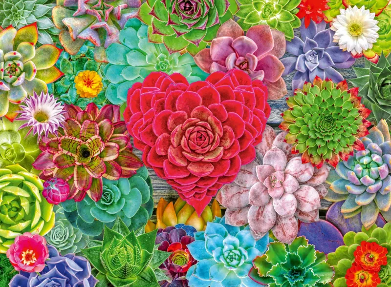 Ravensburger - Succulent Love - 500 Piece Best