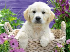 Ravensburger - Sweet Golden Retriever - 500 piece Jigsaw Puzzle Hot