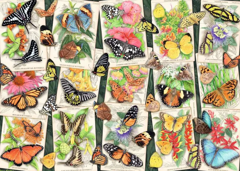 Ravensburger - Tropical Butterflies - 1000 Piece Jigsaw Puzzle Clearance