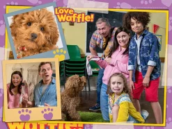 Ravensburger 3035 Waffle The Wonder Dog 4 In A Box (12, 16, 20, 24 piece) Jigsaw Puzzles Clearance