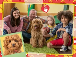 Ravensburger 3035 Waffle The Wonder Dog 4 In A Box (12, 16, 20, 24 piece) Jigsaw Puzzles Clearance
