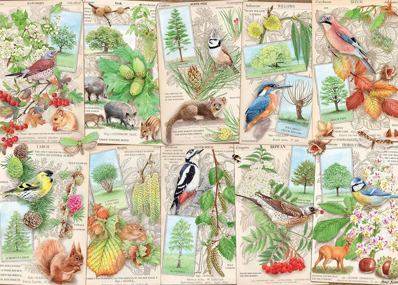 Ravensburger - Wondrous Trees - 1000 Piece Jigsaw Puzzle Best
