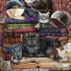Schmidt - Brigid Ashwood: Storytime Cats - 1000 Piece Jigsaw Puzzle Clearance