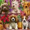 Schmidt - Dog in the Shelves - 500 Piece Jigsaw Puzzle Outlet