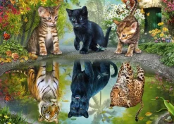 Schmidt - Dream Big! - 1000 Piece Jigsaw Puzzle Outlet