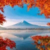 Schmidt - Fuji - 1000 Piece Jigsaw Puzzle Best