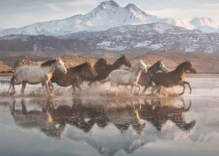 Schmidt - Horses in Cappadocia - 1000 Piece Jigsaw Puzzle Online